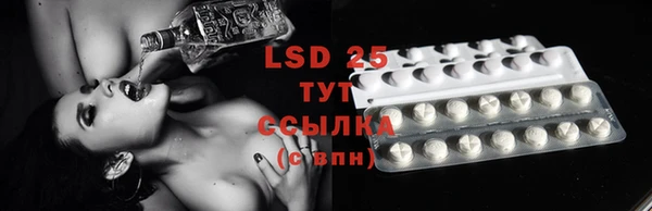 дмт Нея