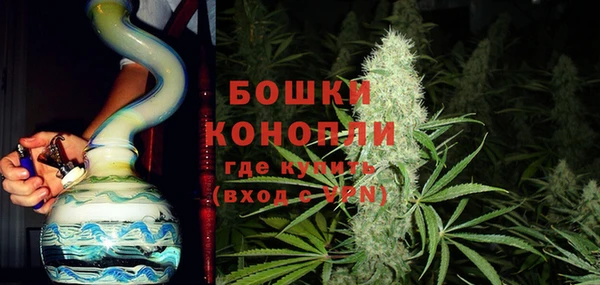 дмт Нея