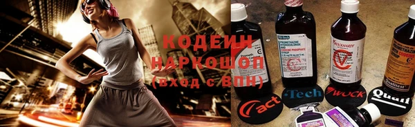 дмт Нея