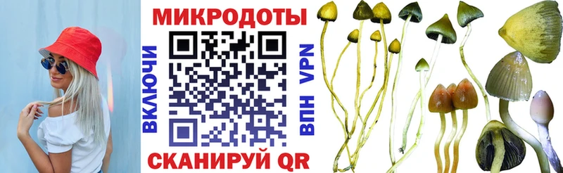 Псилоцибиновые грибы мицелий  Камбарка 